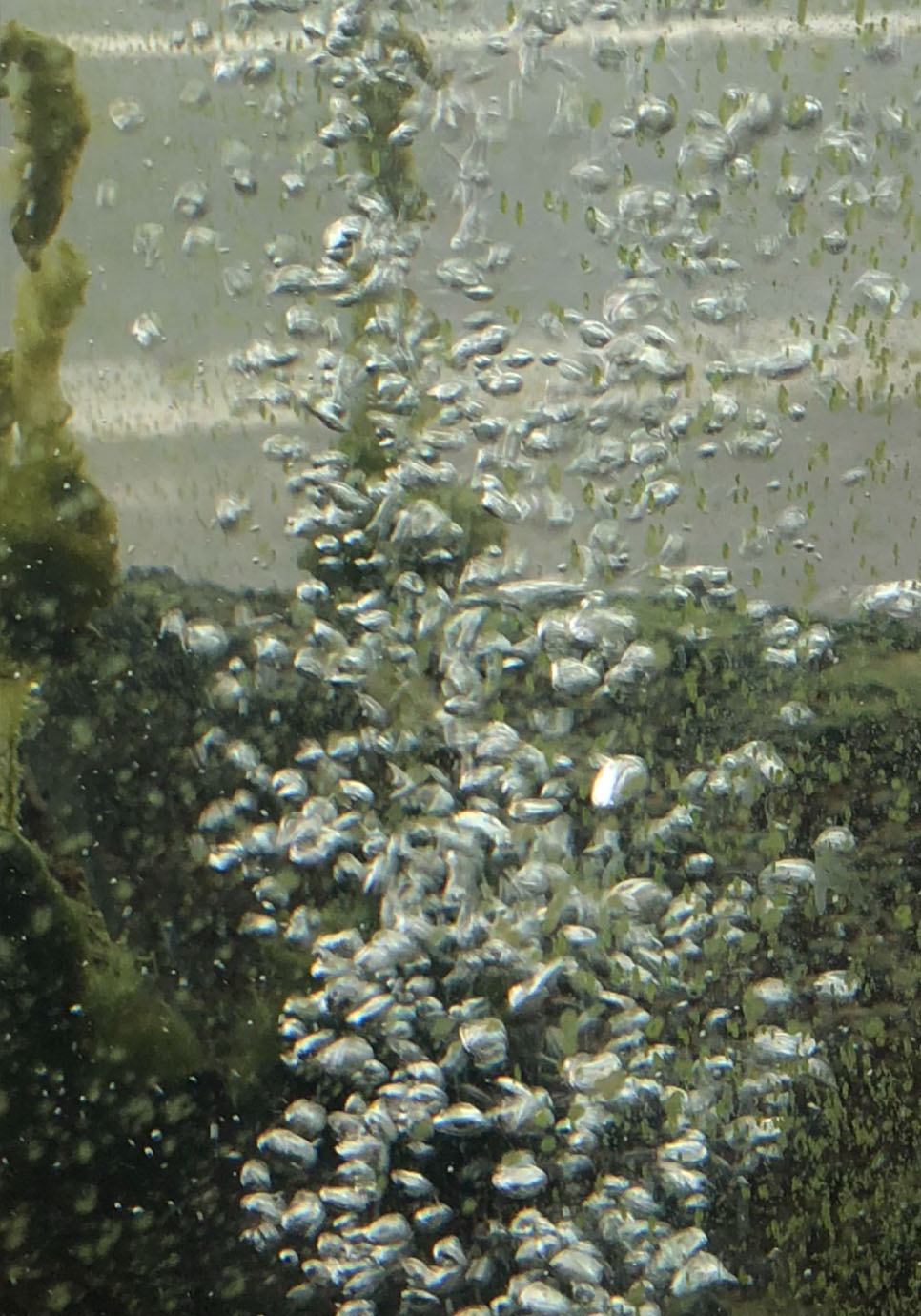 <p>Photo: Autumn Royal</p>