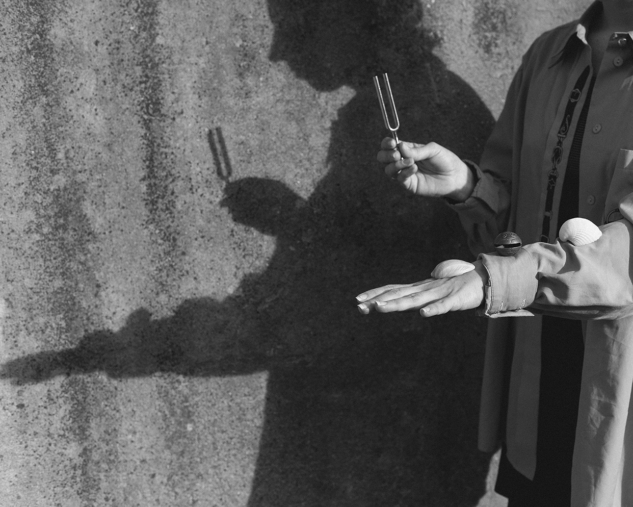 <p>Photo: Lydia Trappenberg</p>