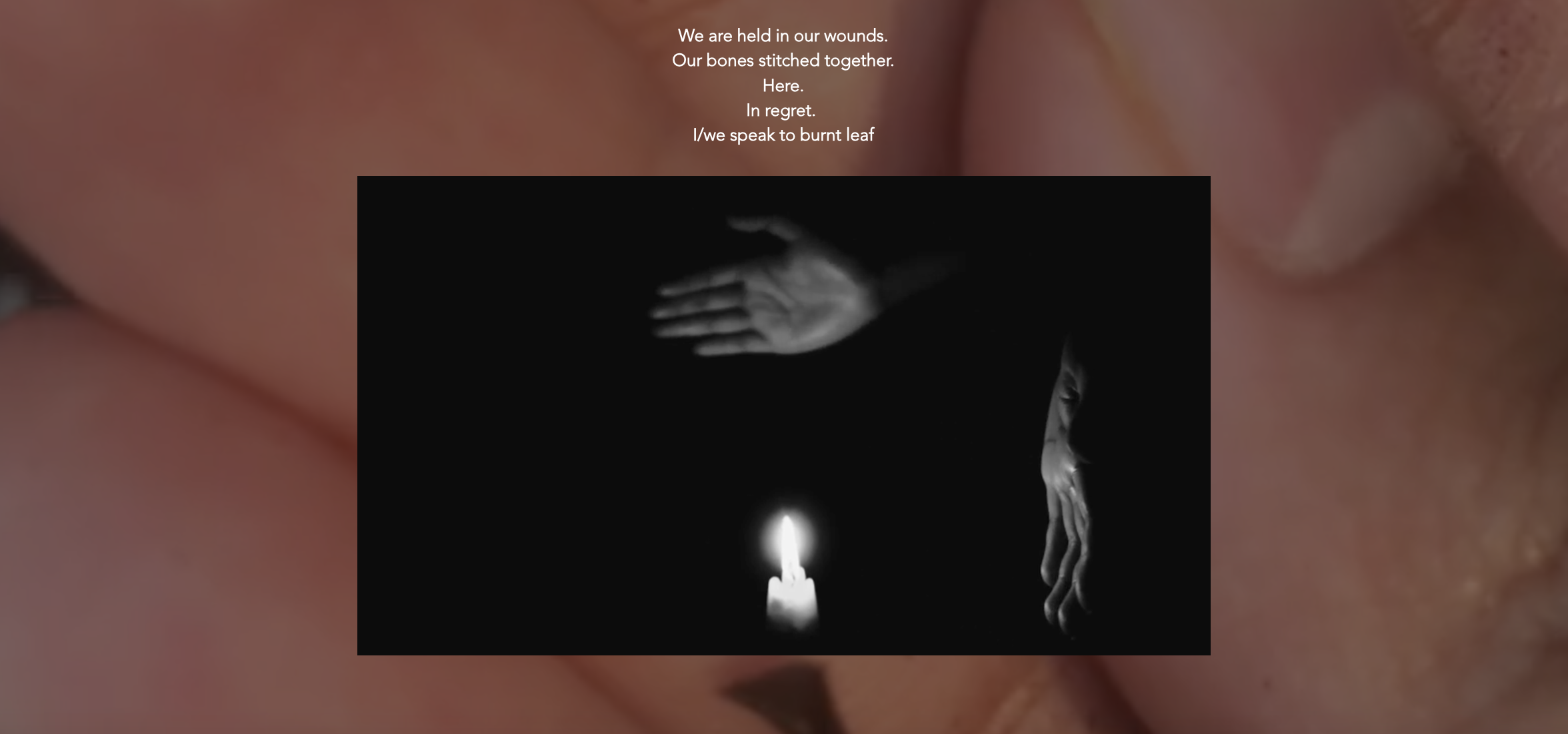 <p>'Dear Decendants', Fileona Dkhar. </p>