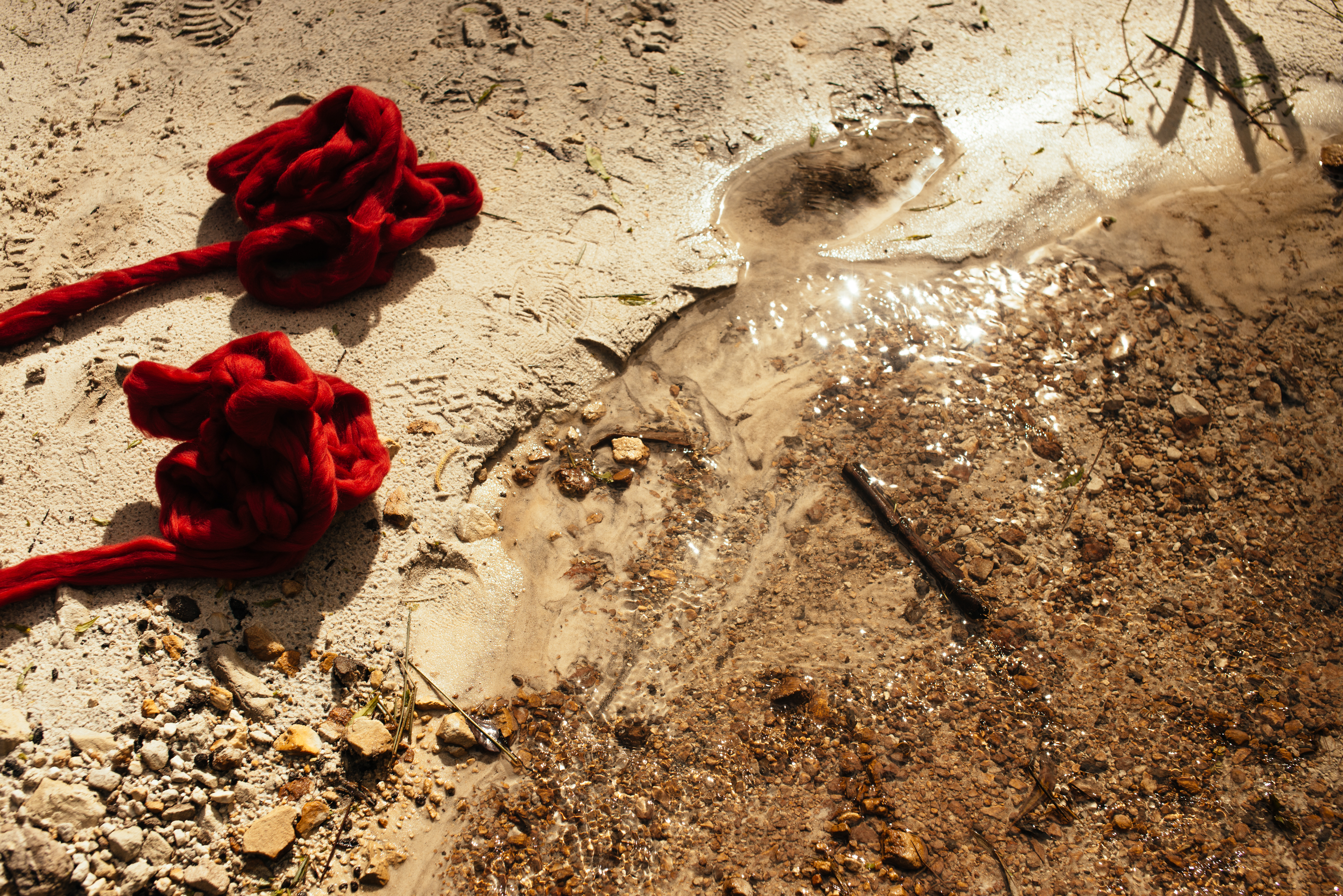 <p>Cecilia Vicuña, Tassi Quipu, Tasmania, 2016. Photo: Keelan O'Hehir.</p>