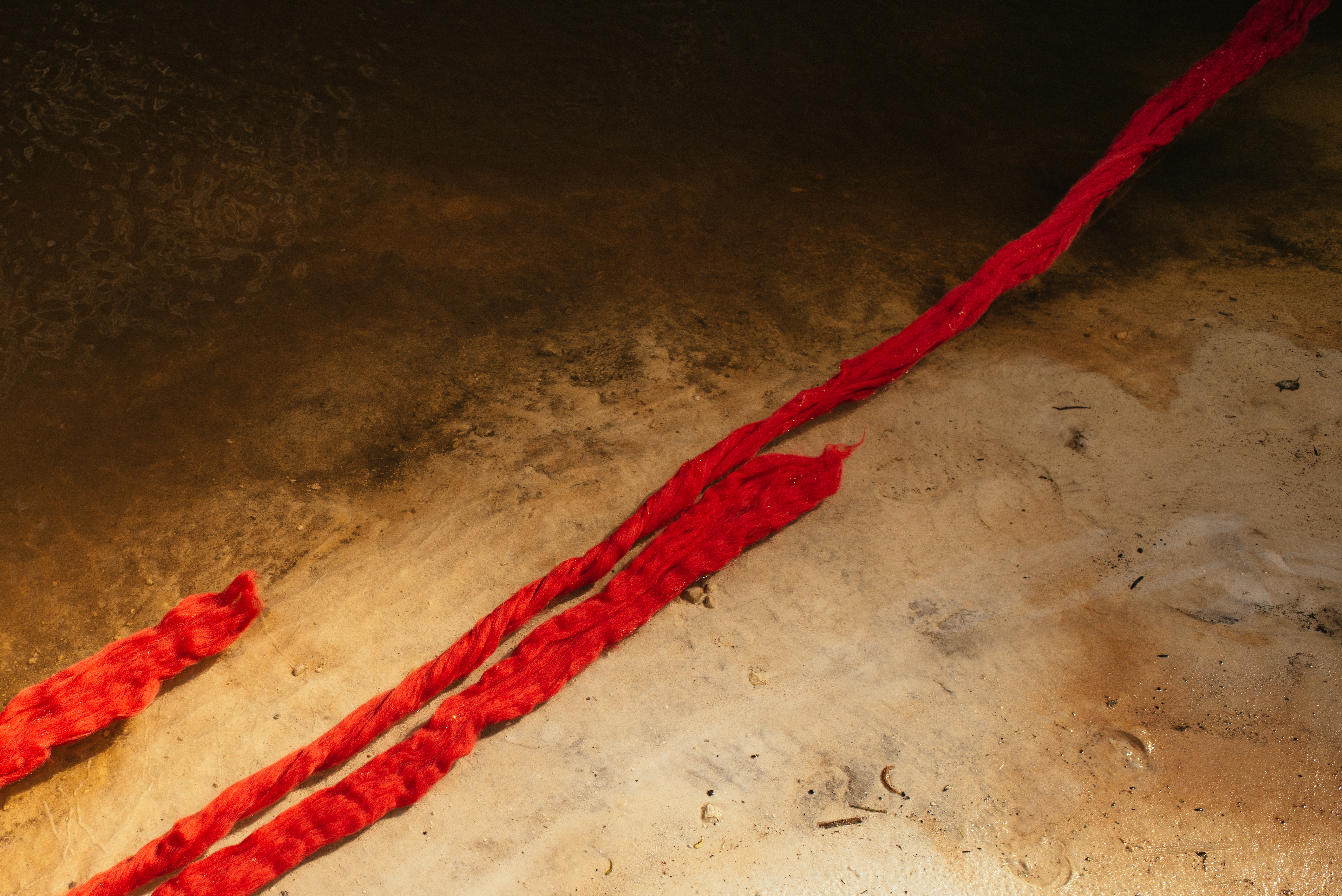 <p>Cecilia Vicuña, Tassi Quipu, Tasmania, 2016. Photo: Keelan O'Hehir.</p>