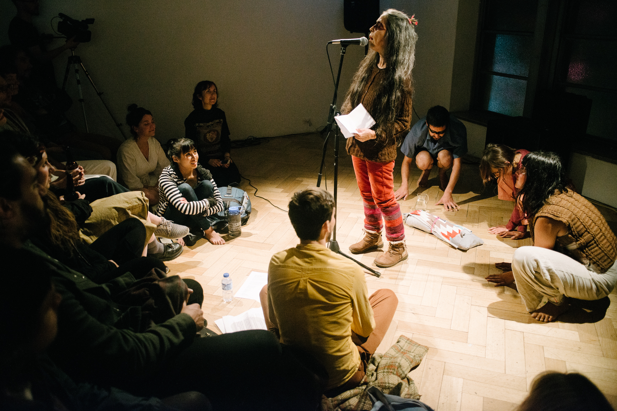 <p>Cecilia Vicuña, Camila Marambio, Sarita Galvez & Bryan Philips, Why Listen to Animals? Decalogue, 2016. Photo: Keelan O'Hehir</p>