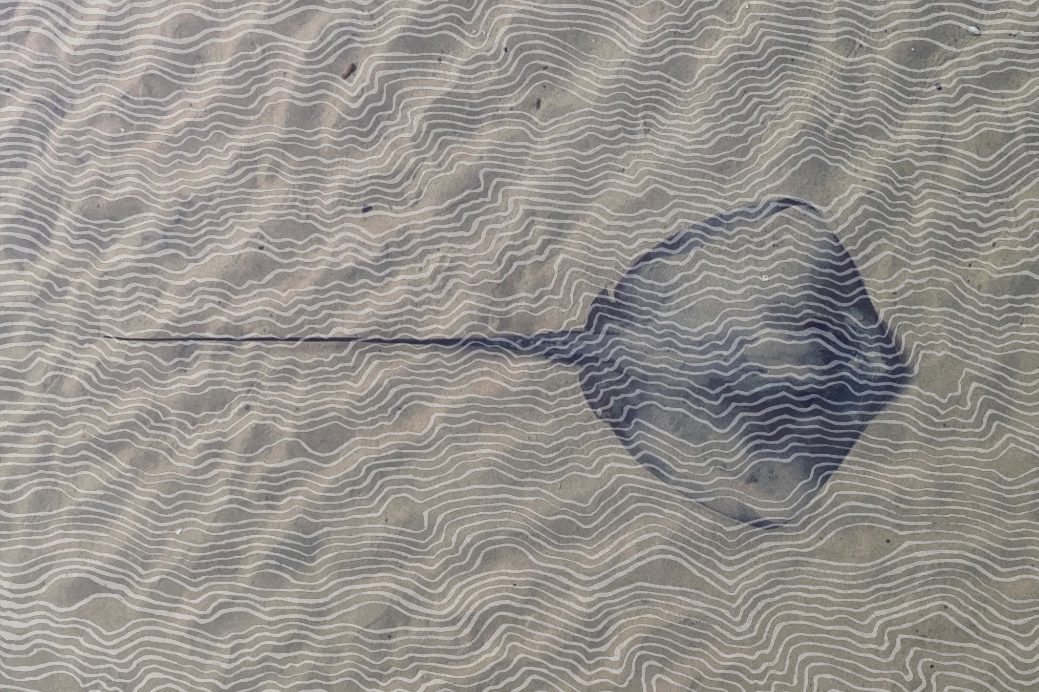 <p>Stingray at Mamaga, Natalie Bateman, (2026)</p>