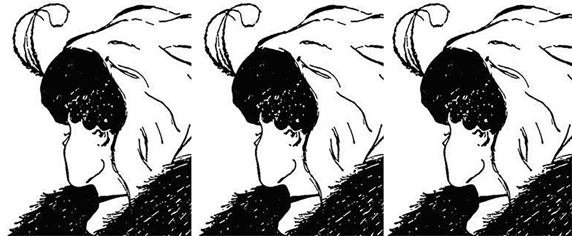 <p>Image: The optical illusion ‘Young Girl-Old Woman’ </p>