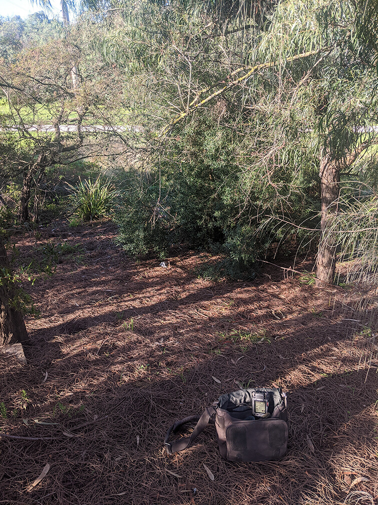 <p>Photo documentation of field recording, Merri Creek Coburg, 2021.</p>
