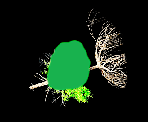 <p>Video-still from Victoria Pham’s projection mapped video <em>TERRA B,</em> 2022. <br>This features an animation of a growing tree, an animation sequence which echoed across all three mapped video works.</p>