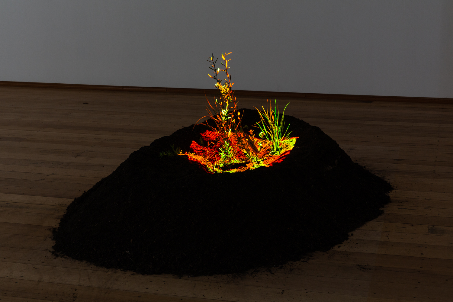 <p>Photo: Janelle Low</p>