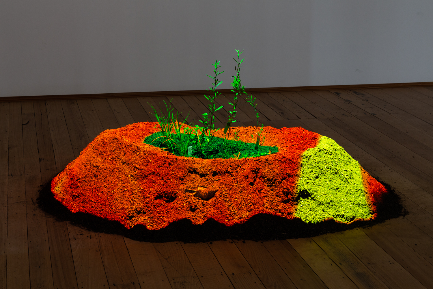 <p>Photo: Janelle Low</p>