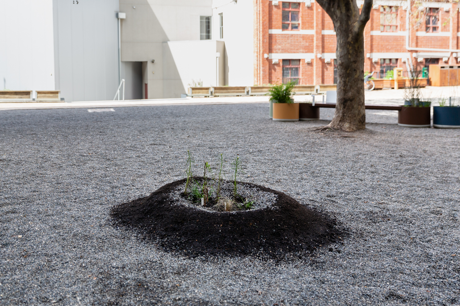 <p>Photo: Janelle Low</p>