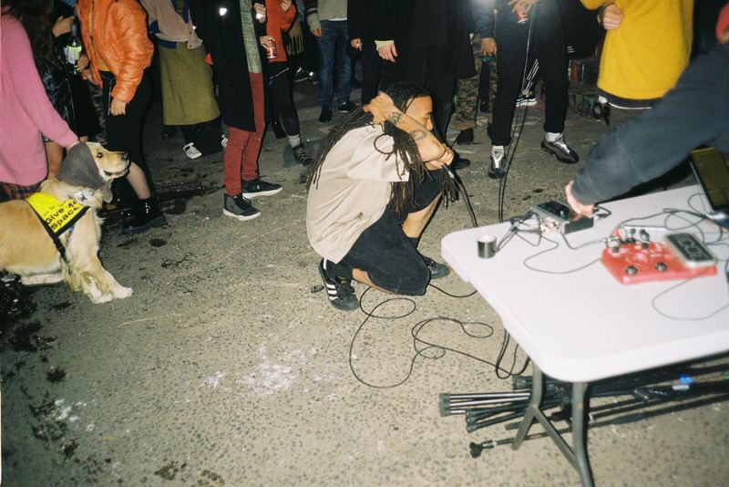 <p>Teether of Too Birds. Brunswick West, Narrm/Melbourne, 2019. Photo: Emil Prakertia Raji.</p>